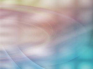 标签体系